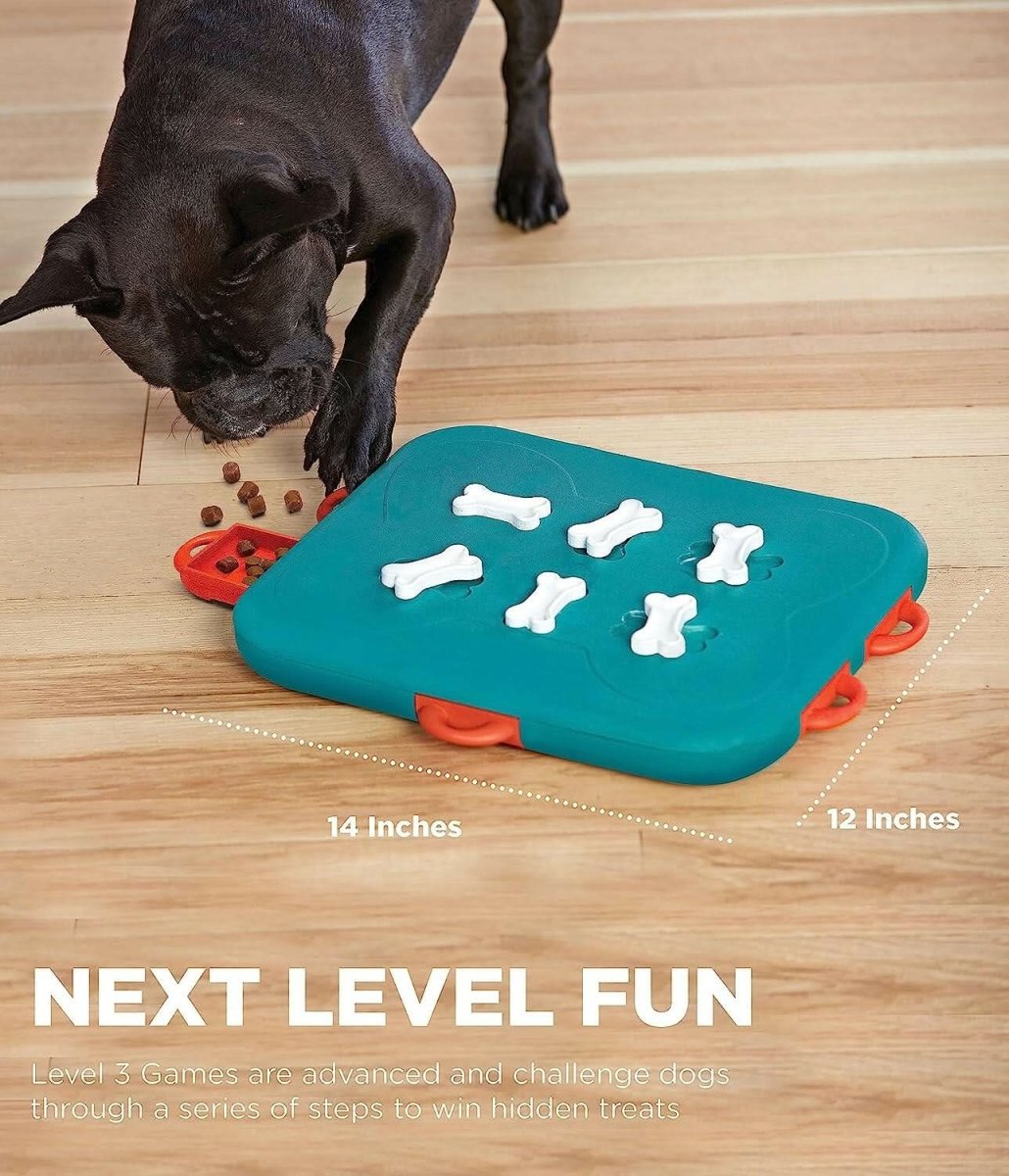 Outward Hound Nina Ottosson Dog Casino Interactive Puzzle Toy – Advanced - dspetstore.com