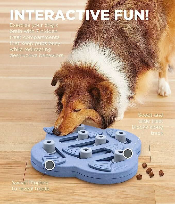 Outward Hound Nina Ottosson Dog Hide N' Slide Purple Interactive Treat Puzzle Dog Toy - dspetstore.com