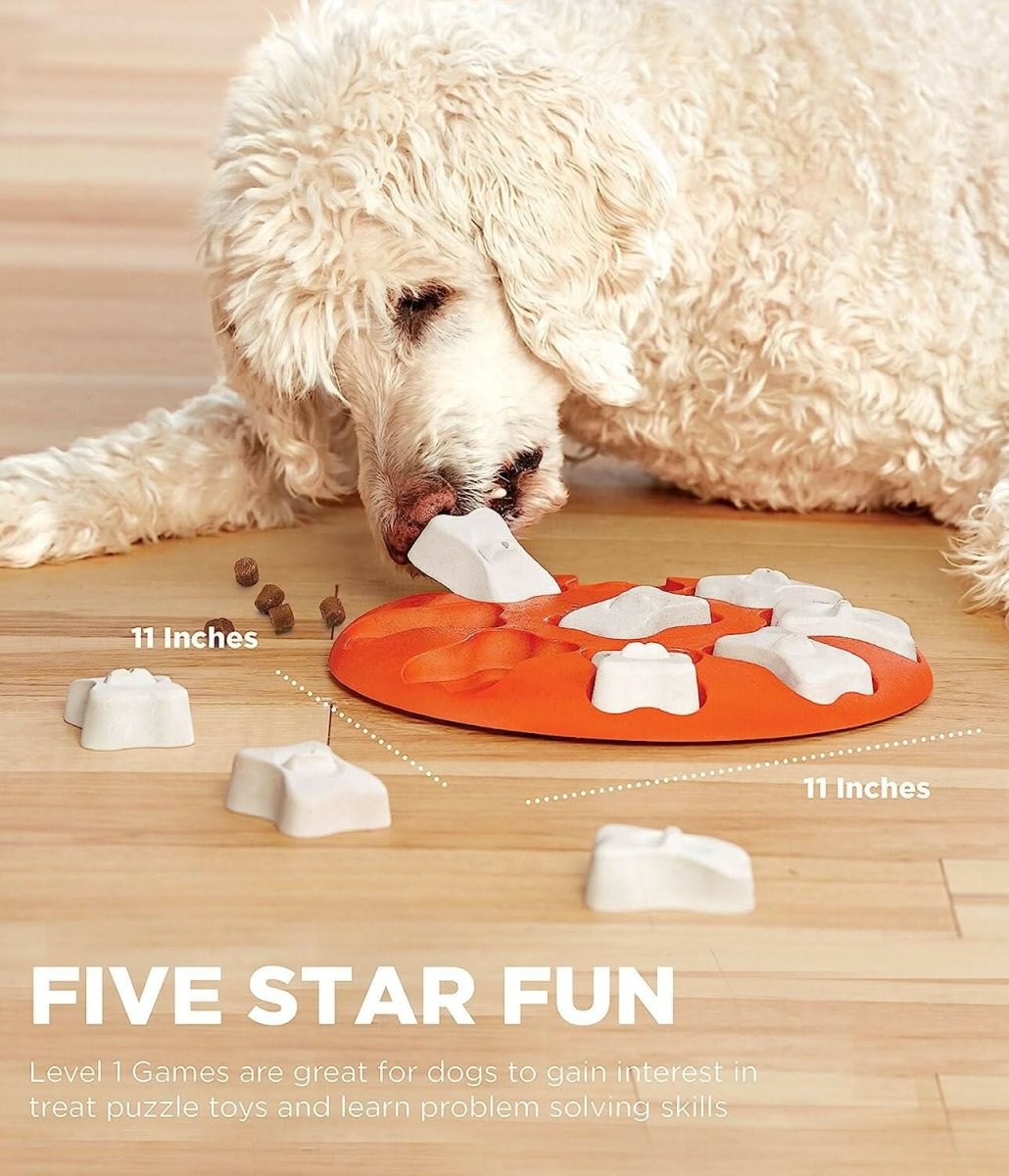 Outward Hound Nina Ottosson Dog Smart Orange Interactive Treat Puzzle Dog Toy - dspetstore.com