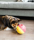 Outward Hound Nina Ottosson Treat Tumble Red Interactive Treat - Dispensing Puzzle Dog Toy, Large - dspetstore.com