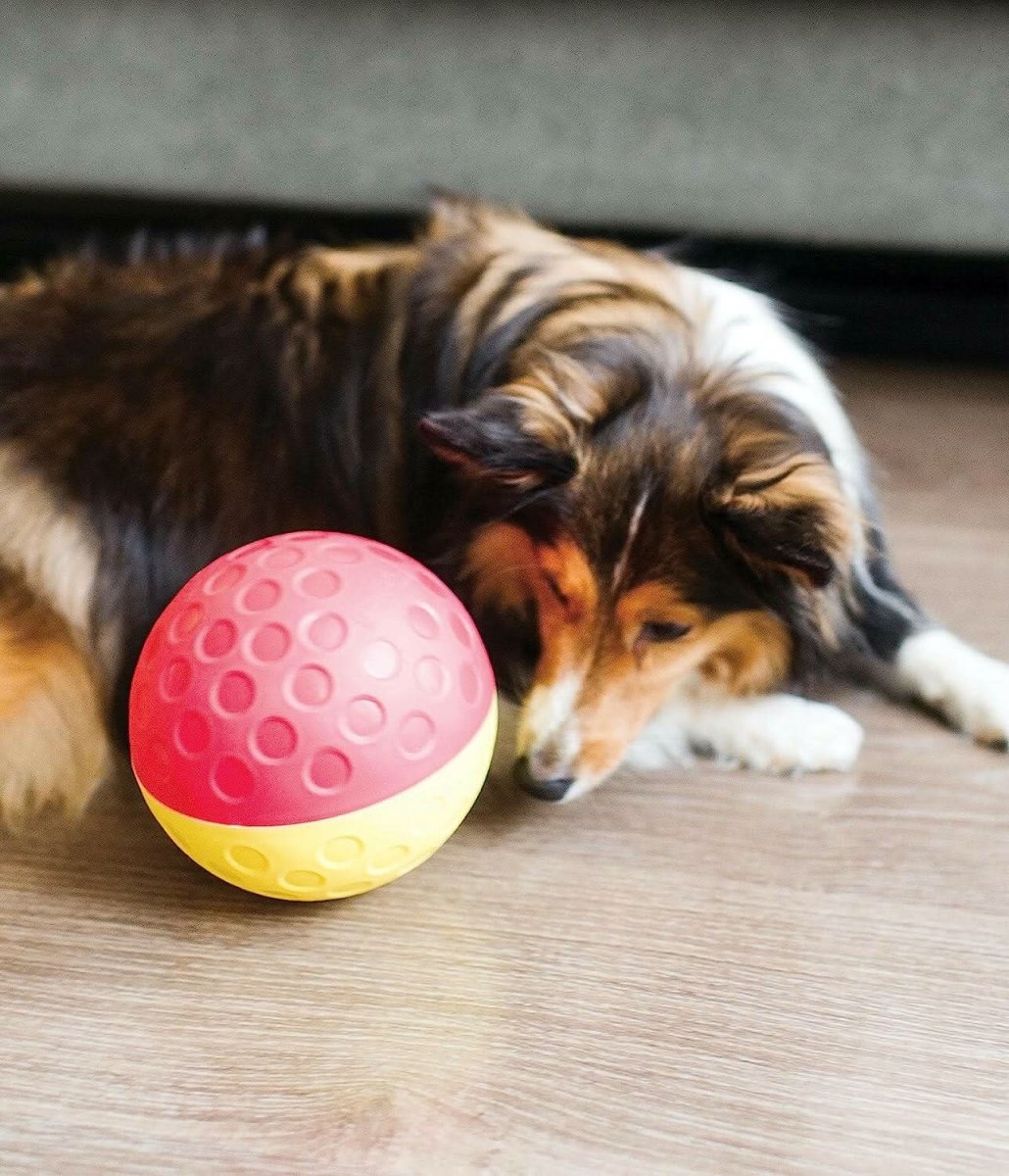 Outward Hound Nina Ottosson Treat Tumble Red Interactive Treat - Dispensing Puzzle Dog Toy, Large - dspetstore.com
