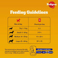 Pedigree Adult Wet Dog Food, Chicken & Liver Chunks in Gravy - dspetstore.com