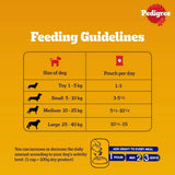 Pedigree Adult Wet Dog Food, Chicken & Liver Chunks in Gravy - dspetstore.com