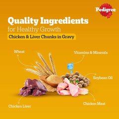 Pedigree Adult Wet Dog Food, Chicken & Liver Chunks in Gravy - dspetstore.com