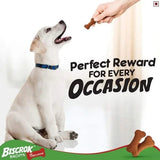Pedigree Biscrok Lamb Flavour Dog Biscuits - dspetstore.com