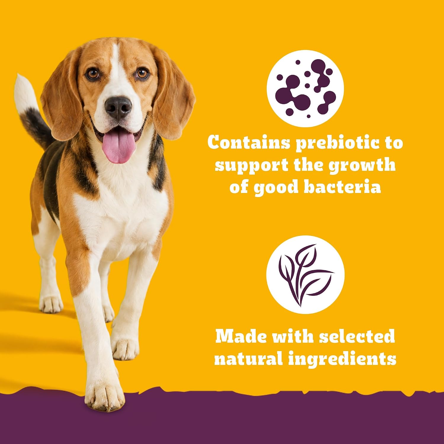 Dog on a yellow background with text about prebiotics and natural ingredients