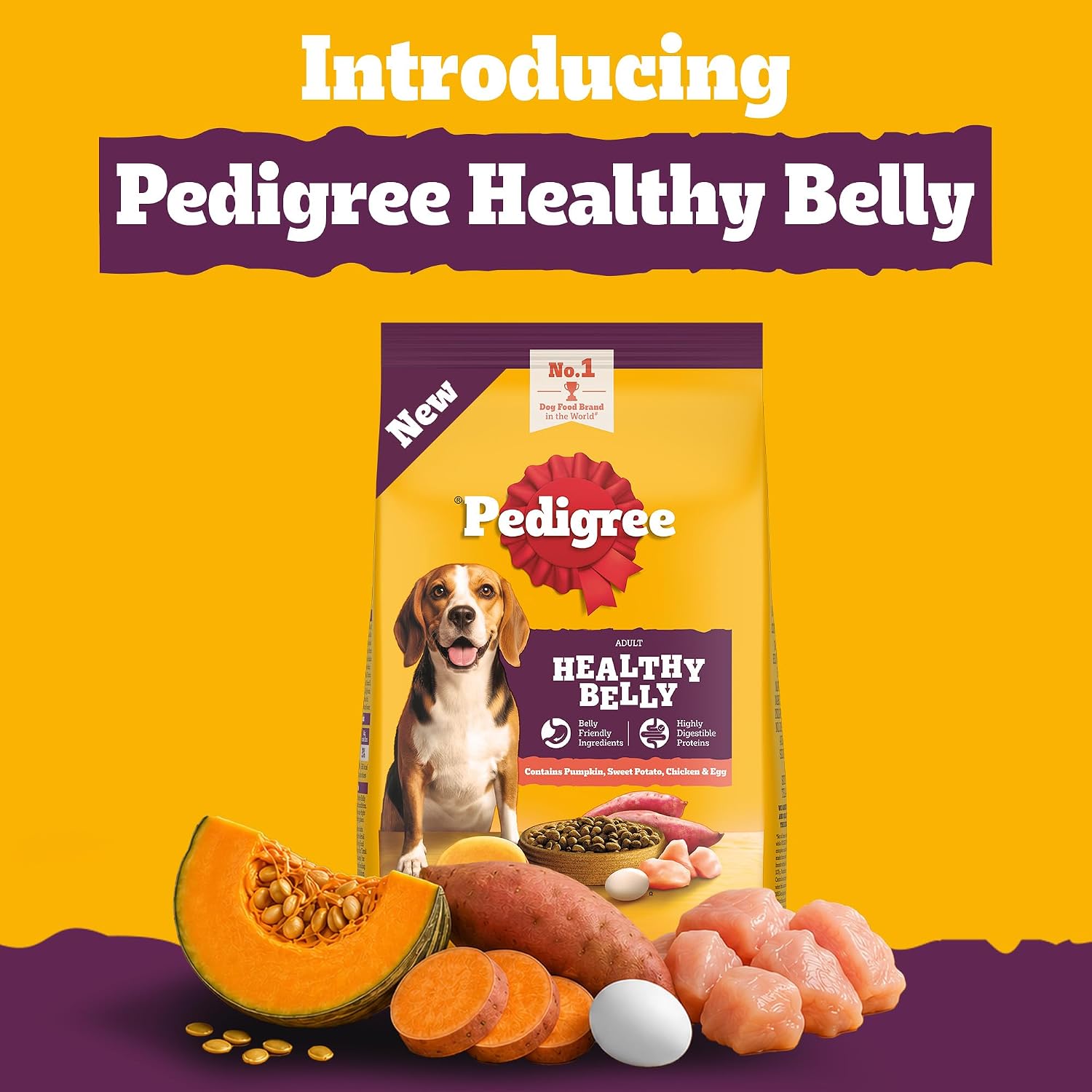 Pedigree Healthy Belly dog food bag shown on a bright yellow background with promotional text at the top and food ingredients arranged at the bottom, including squash, sweet potato, egg, and chicken.