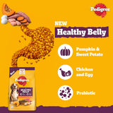Pedigree Healthy Belly dog food bag shown on a bright yellow background with ingredient graphics of pumpkin, sweet potato, eggs, and a spilled grain pile. Text highlights Pumpkin & Sweet Potato, Chicken and Egg, and Prebiotic flavors.