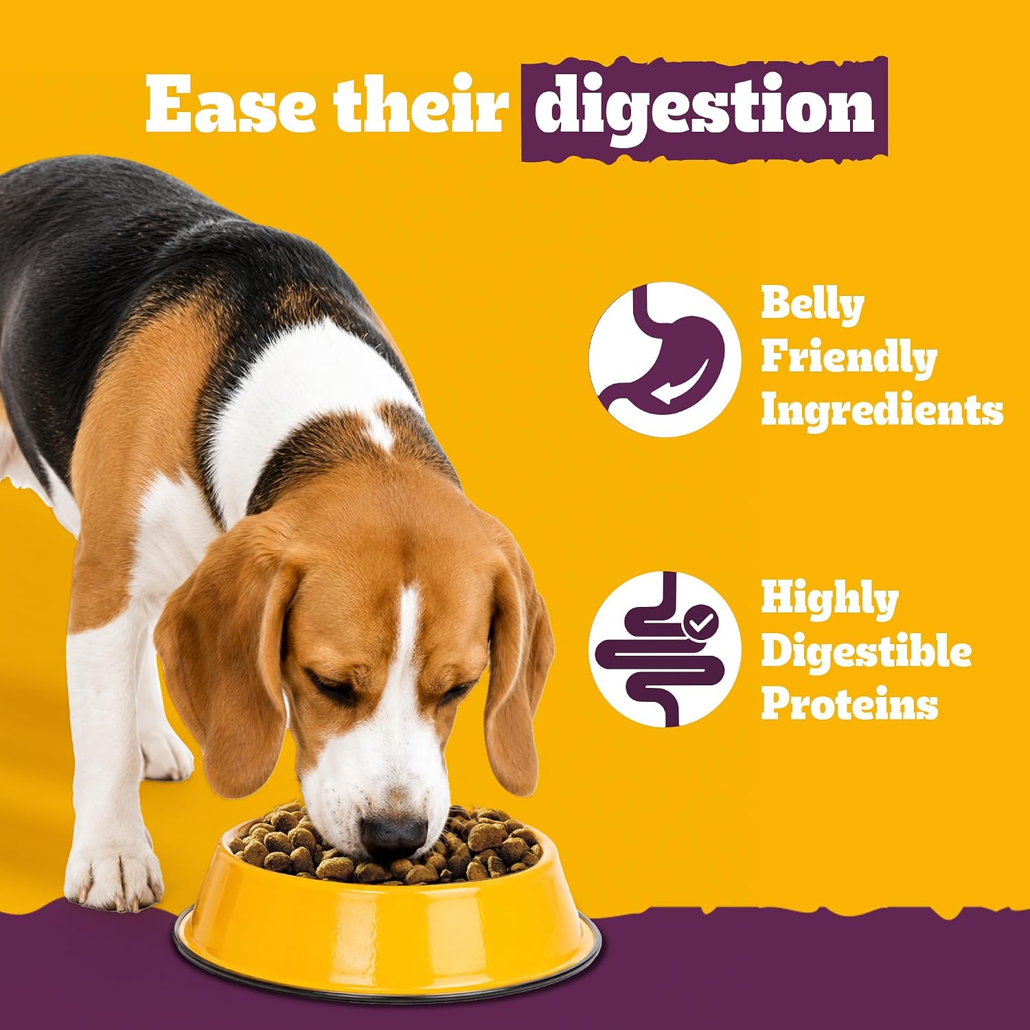 Dog eating from a bowl with text about digestion and ingredients on a yellow and purple background