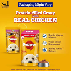 Pedigree Puppy Wet Dog Food, Chicken Chunks in Gravy - dspetstore.com