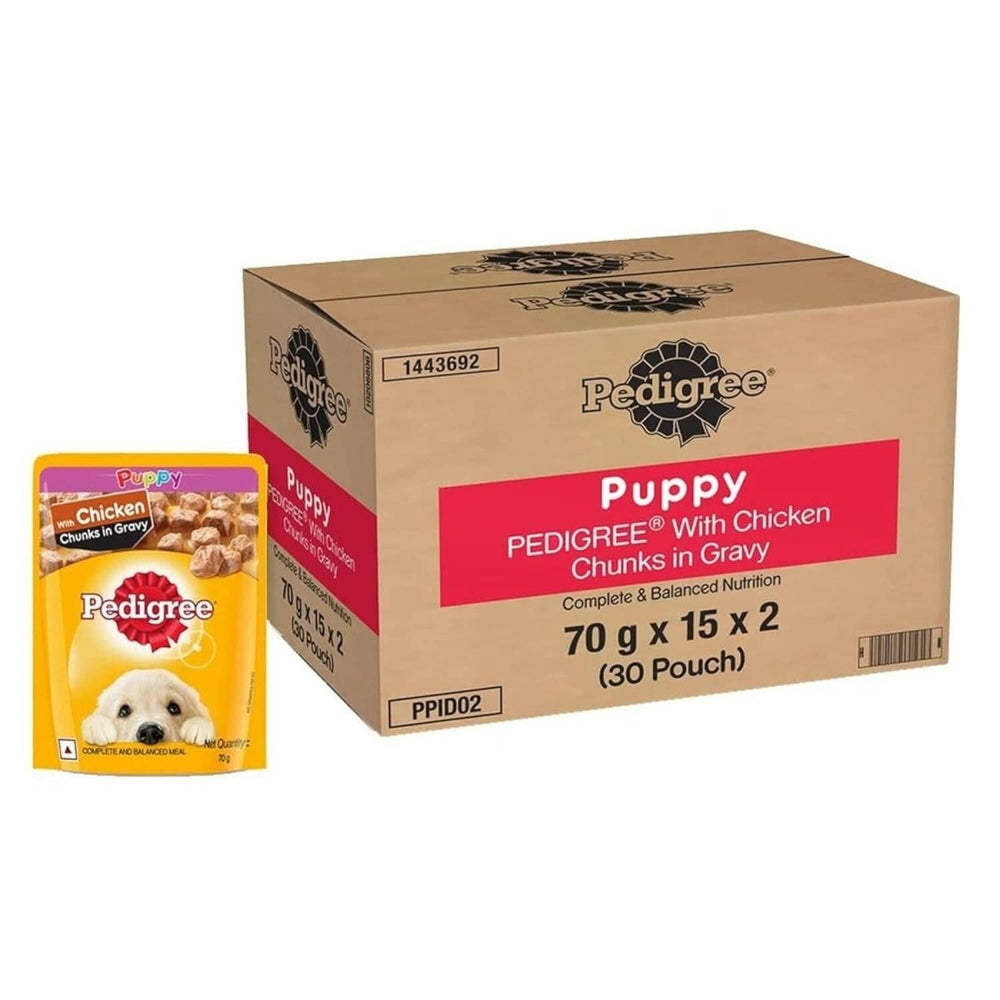 Pedigree Puppy Wet Food Chicken & Chunks in Gravy - dspetstore.com