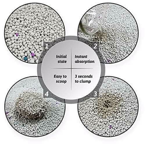 Pet Pattern Smart Bentonite Cat Litter (20kg) - dspetstore.com