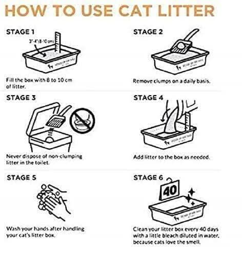 Pet Pattern Smart Bentonite Cat Litter (20kg) - dspetstore.com