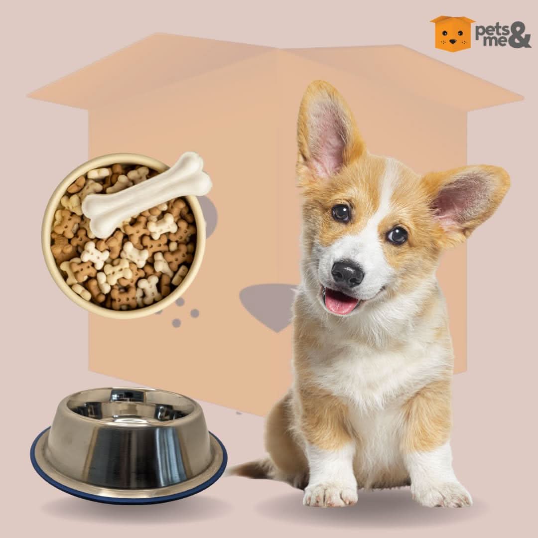Pets Pot Comfort Bowl 96 Oz – Perfect for Large Breeds - dspetstore.com