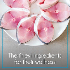 Purepet Ocean Fish Kitten Food – Dry - dspetstore.com