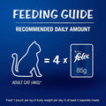 Purina Felix Chicken with Jelly Adult Cat Wet Food – 85g - dspetstore.com