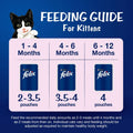 Purina Felix Tuna with Jelly Adult Cat Wet Food – 85 g - dspetstore.com