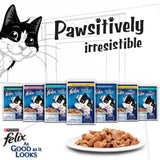 Felix cat food packages with a plate of cat food and a cartoon cat on a white background.