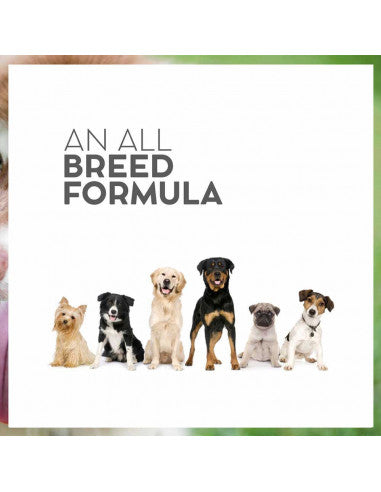 Drools Vet Pro Renal Dog Food.
