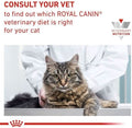Royal Canin Anallergenic Veterinary Cat Food - dspetstore.com