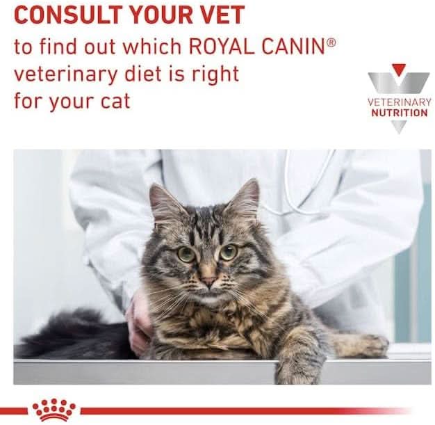 Royal Canin Anallergenic Veterinary Cat Food - dspetstore.com