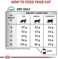 Royal Canin Anallergenic Veterinary Cat Food - dspetstore.com