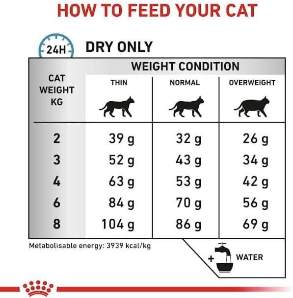Royal Canin Anallergenic Veterinary Cat Food - dspetstore.com