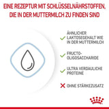 Royal Canin Baby Dog Milk Powder - dspetstore.com