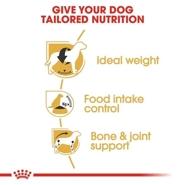 Diagram of dog nutrition benefits with text and icons on a white background