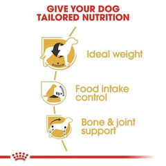 Diagram of dog nutrition benefits with text and icons on a white background