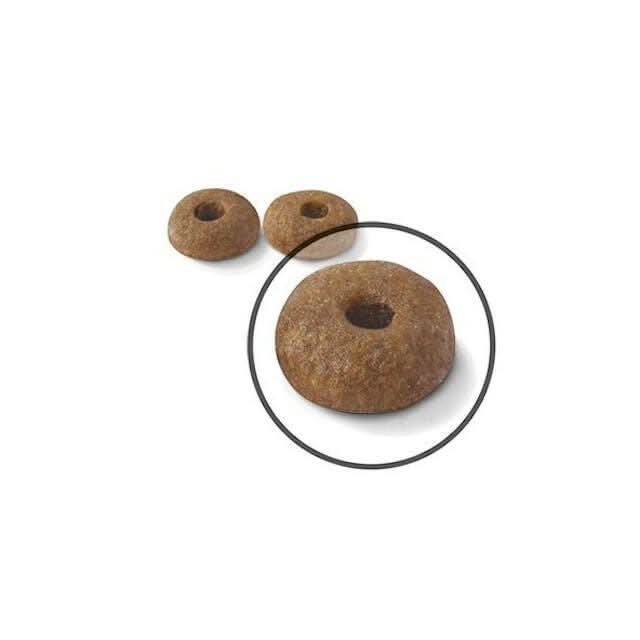Royal Canin Digestive Care Dry Cat Food - dspetstore.com
