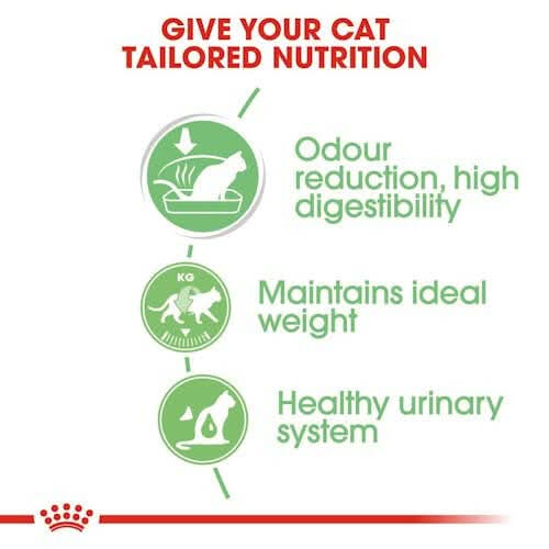Royal Canin Digestive Sensitive Wet Cat Food - dspetstore.com