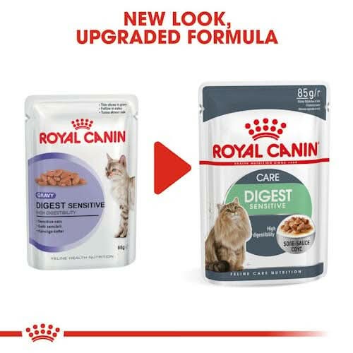 Royal Canin Digestive Sensitive Wet Cat Food - dspetstore.com