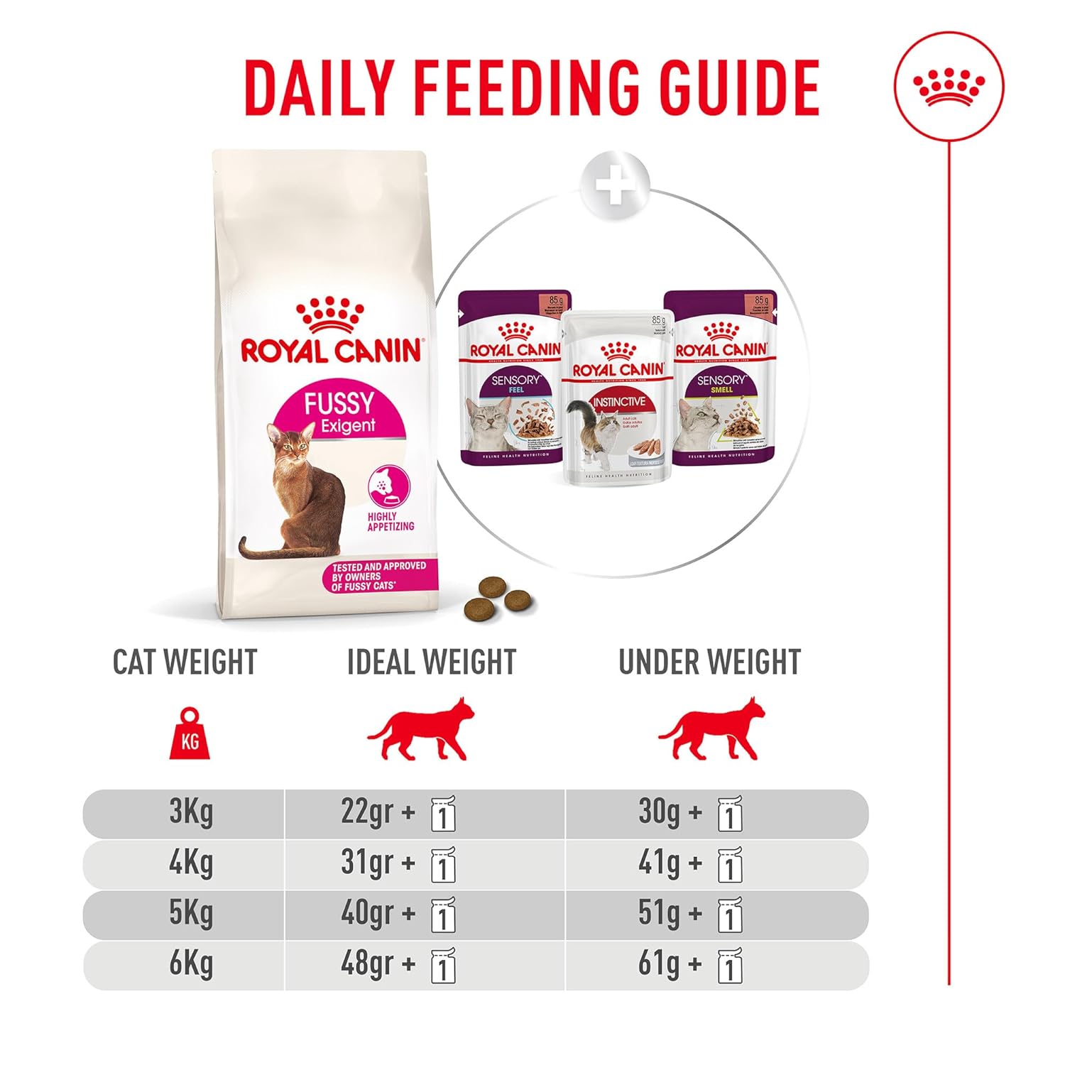 Royal Canin daily feeding guide for cats with product images and text.