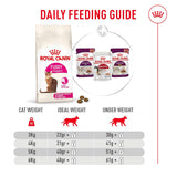 Royal Canin daily feeding guide for cats with product images and text.
