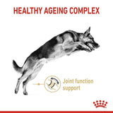 Royal Canin German Shepherd 5+ Adult Dry Dog Food – 3 kg - dspetstore.com