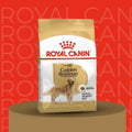 Royal Canin Golden Retriever Adult Dry Dog Food - dspetstore.com