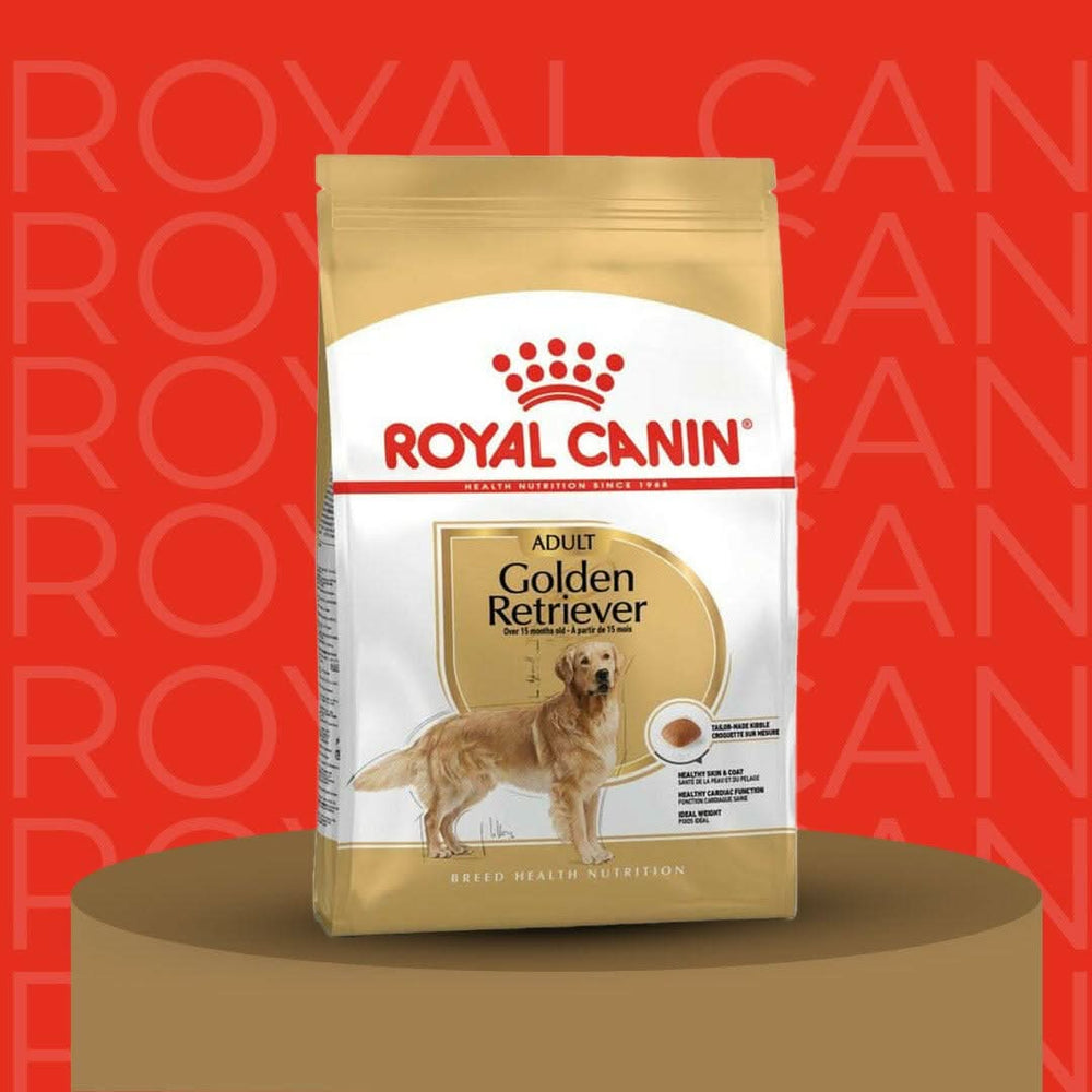 Royal Canin Golden Retriever Adult Dry Dog Food - dspetstore.com