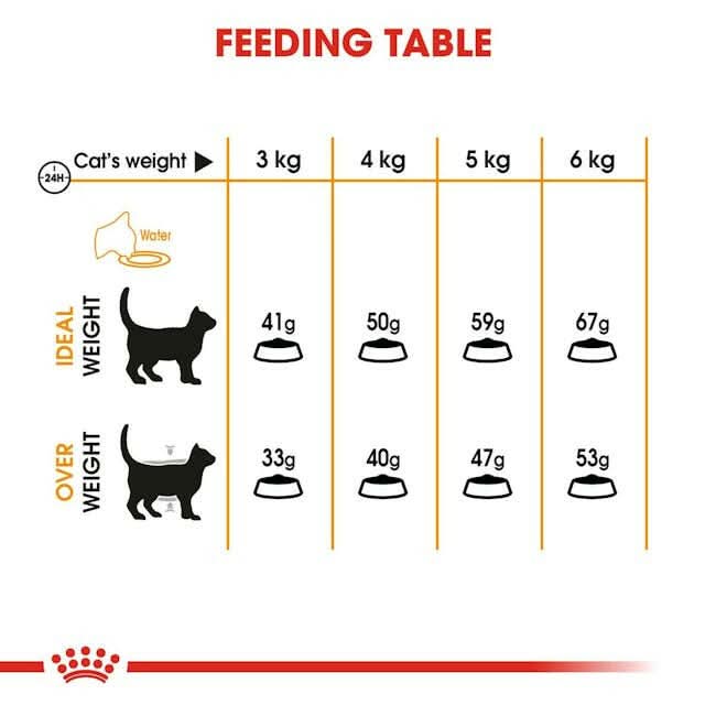 Royal Canin Hair and Skin Care Dry Cat Food - dspetstore.com