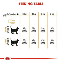 Royal Canin Hair and Skin Care Dry Cat Food - dspetstore.com