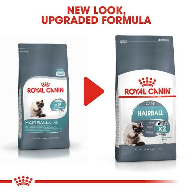 Royal Canin Hairball Care Dry Cat Food - dspetstore.com
