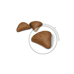 Royal Canin Hairball Care Dry Cat Food - dspetstore.com