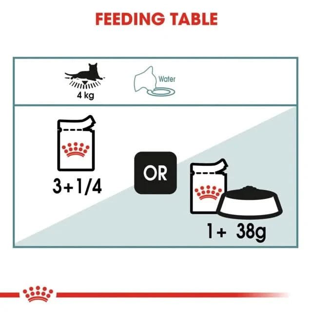 Royal Canin Hairball Care Wet Cat Food - dspetstore.com