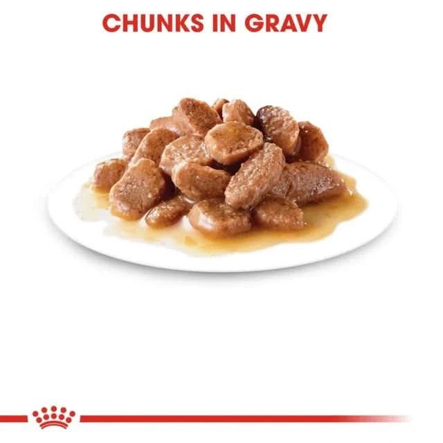 Royal Canin Hairball Care Wet Cat Food - dspetstore.com
