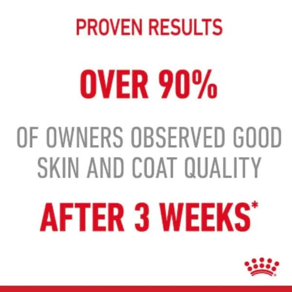 Royal Canin Intense Beauty Wet Cat Food - dspetstore.com