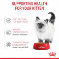Royal Canin Kitten Gravy Cat Wet Food - dspetstore.com