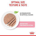 Royal Canin Kitten Instinctive Wet Food - dspetstore.com