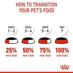 Royal Canin Kitten Loaf Cat Wet Food - dspetstore.com