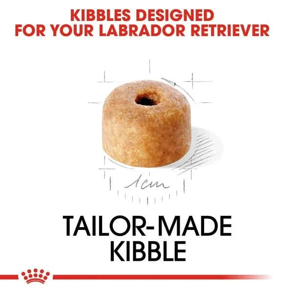 Dog kibble shaped like a bone with measurement details on a white background