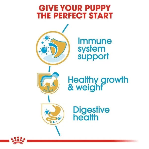 Advertisement for puppy food with immune system support, healthy growth, and digestive health benefits on a white background.